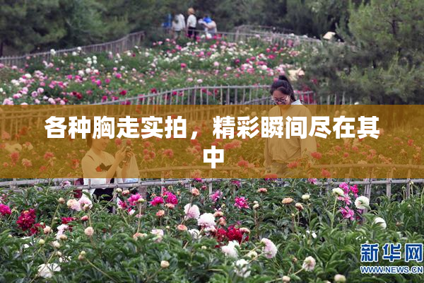 各种胸走实拍，精彩瞬间尽在其中