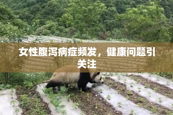 女性腹泻病症频发，健康问题引关注