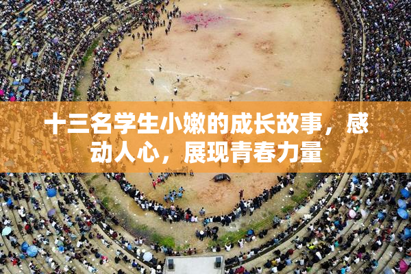 十三名学生小嫩的成长故事，感动人心，展现青春力量