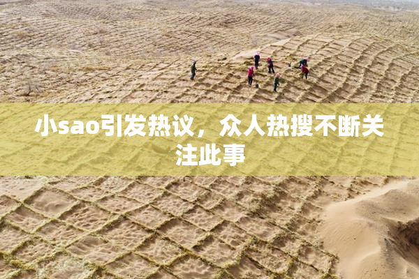 小sao引发热议，众人热搜不断关注此事