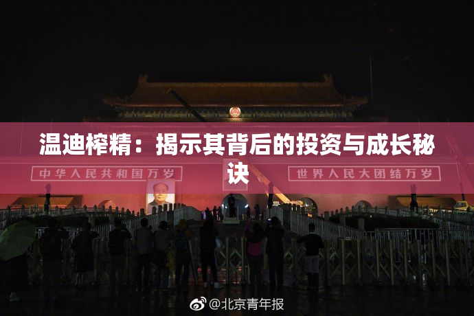 温迪榨精：揭示其背后的投资与成长秘诀