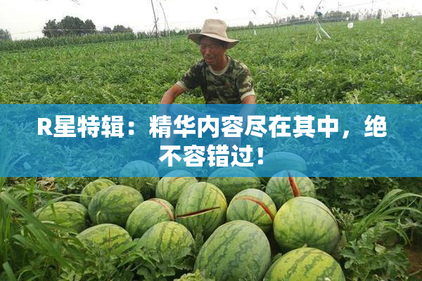 R星特辑：精华内容尽在其中，绝不容错过！