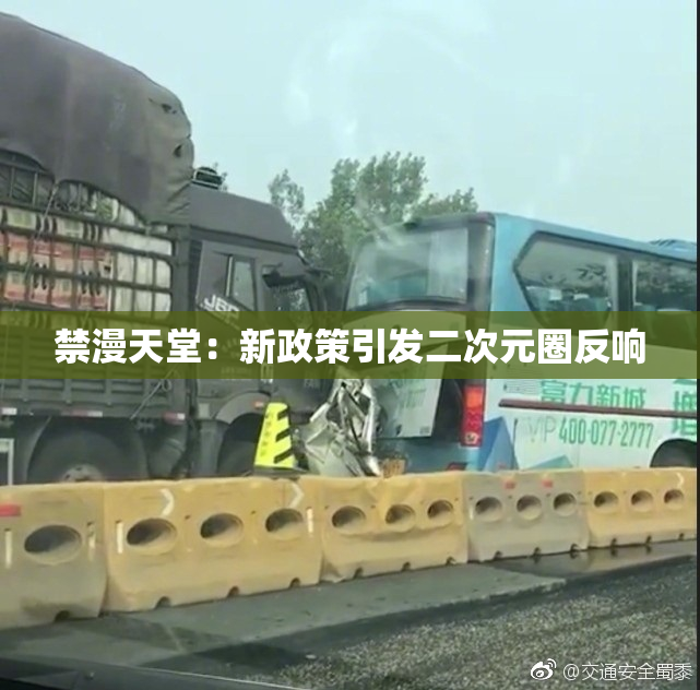 禁漫天堂：新政策引发二次元圈反响