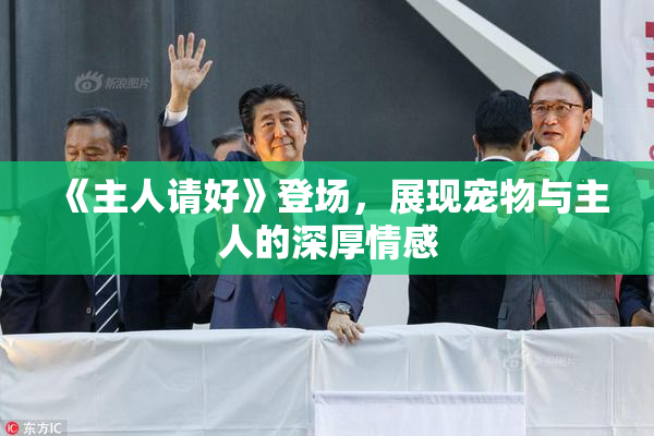 《主人请好》登场，展现宠物与主人的深厚情感
