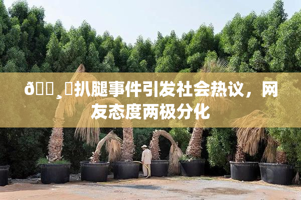 🌸‌扒腿事件引发社会热议，网友态度两极分化