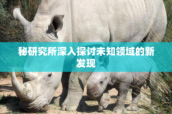 秘研究所深入探讨未知领域的新发现