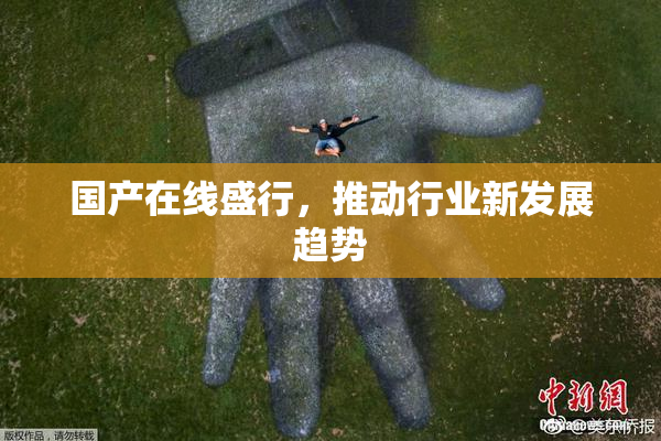 国产在线盛行，推动行业新发展趋势