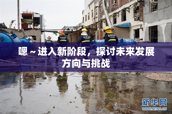 嗯～进入新阶段，探讨未来发展方向与挑战