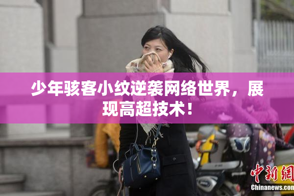 少年骇客小纹逆袭网络世界，展现高超技术！