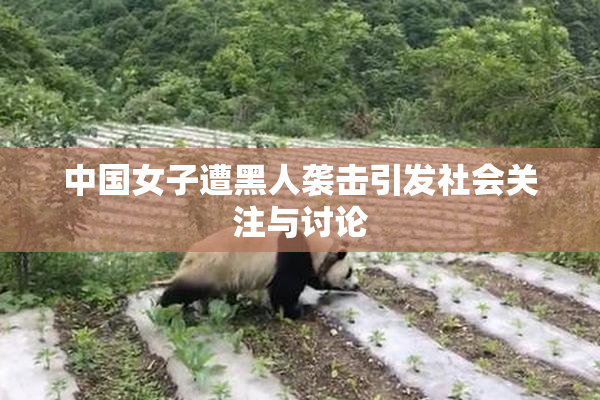 中国女子遭黑人袭击引发社会关注与讨论