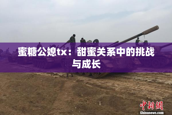 蜜糖公媳tx：甜蜜关系中的挑战与成长