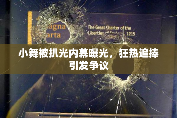 小舞被扒光内幕曝光，狂热追捧引发争议