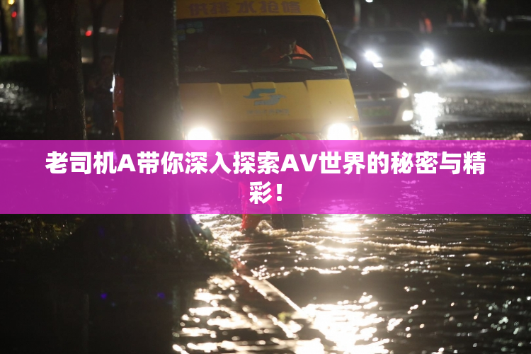 老司机A带你深入探索AV世界的秘密与精彩！