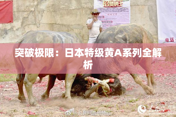突破极限：日本特级黄A系列全解析