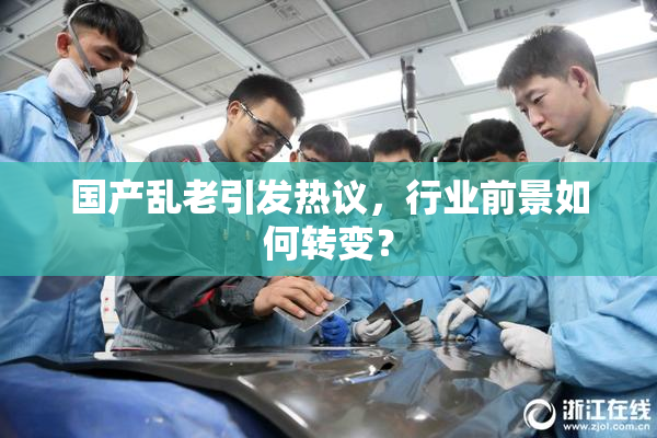 国产乱老引发热议，行业前景如何转变？