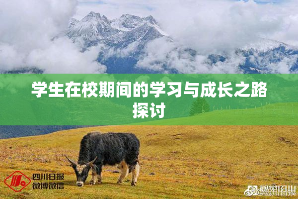 学生在校期间的学习与成长之路探讨