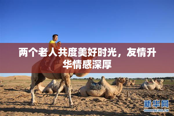 两个老人共度美好时光，友情升华情感深厚