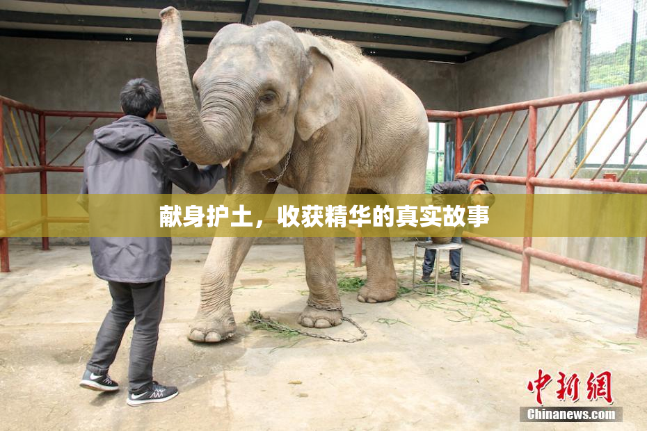 献身护土，收获精华的真实故事