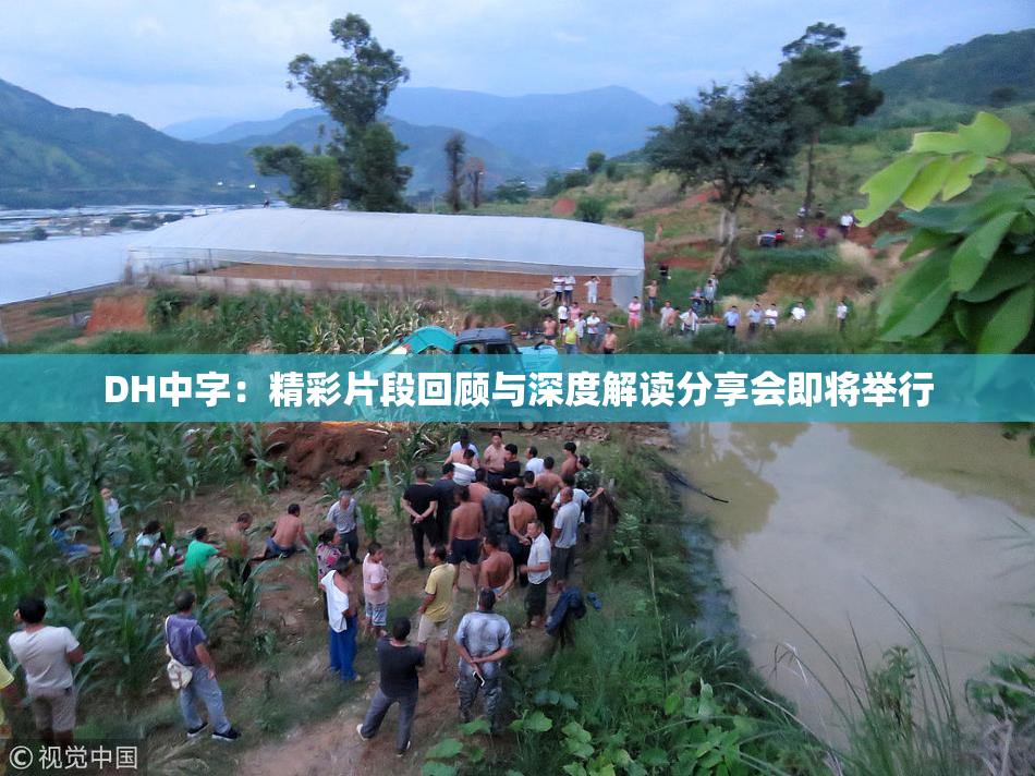 DH中字：精彩片段回顾与深度解读分享会即将举行