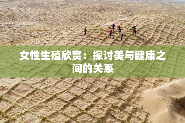女性生殖欣赏：探讨美与健康之间的关系