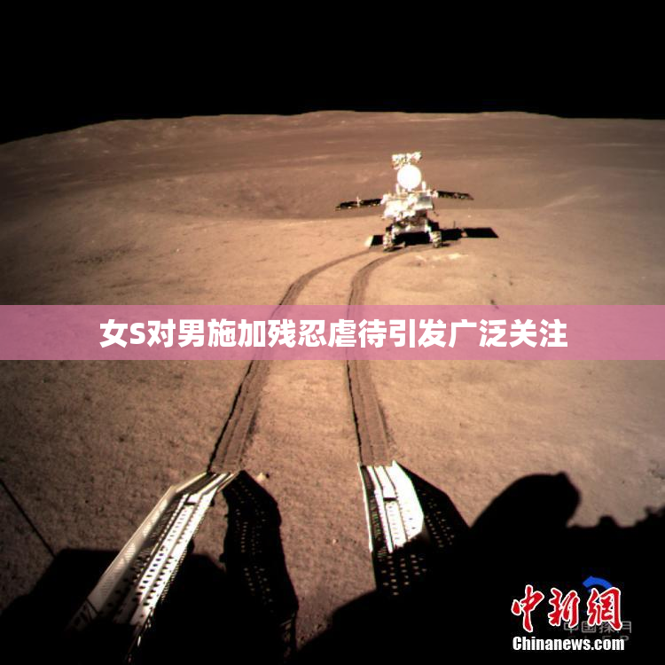 女S对男施加残忍虐待引发广泛关注