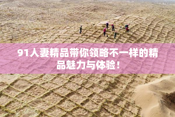 91人妻精品带你领略不一样的精品魅力与体验！