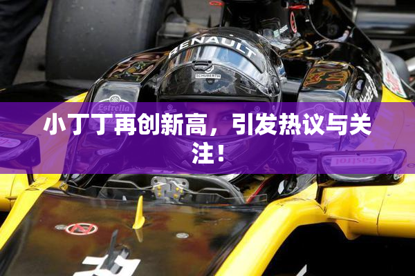 小丁丁再创新高，引发热议与关注！