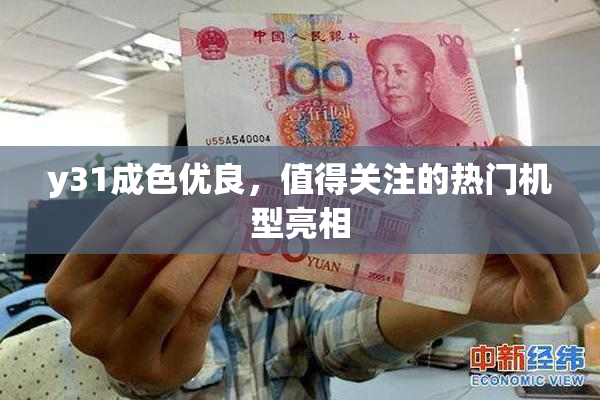 y31成色优良，值得关注的热门机型亮相