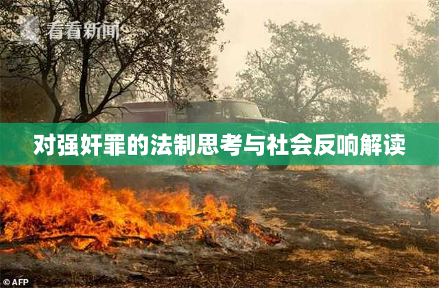 对强奸罪的法制思考与社会反响解读