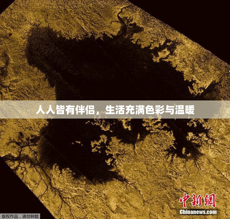 人人皆有伴侣，生活充满色彩与温暖