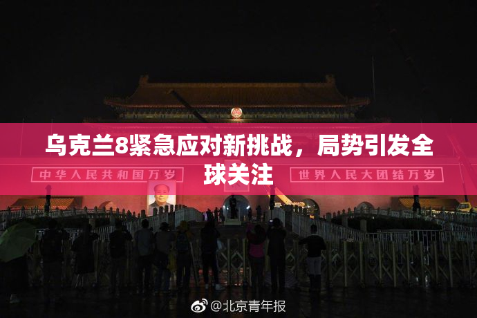 乌克兰8紧急应对新挑战，局势引发全球关注