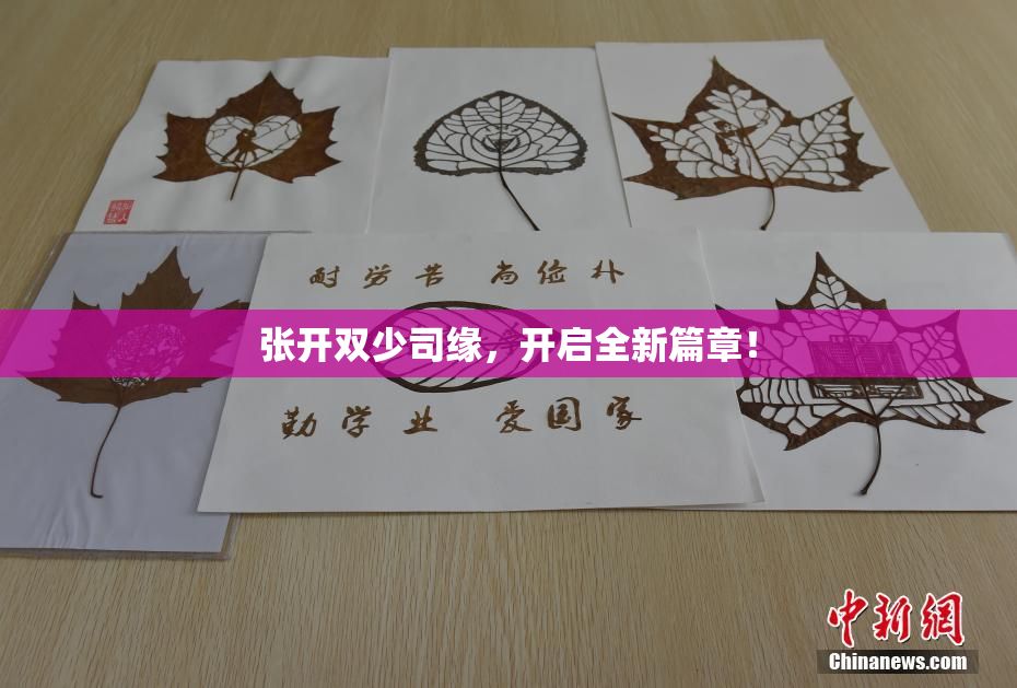 张开双少司缘，开启全新篇章！
