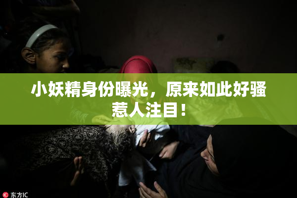 小妖精身份曝光，原来如此好骚惹人注目！