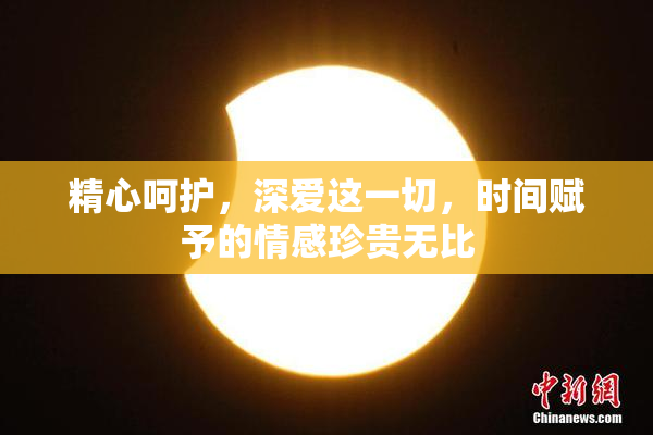 精心呵护，深爱这一切，时间赋予的情感珍贵无比