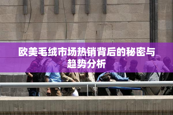 欧美毛绒市场热销背后的秘密与趋势分析