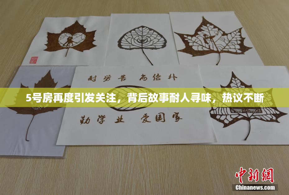 5号房再度引发关注，背后故事耐人寻味，热议不断