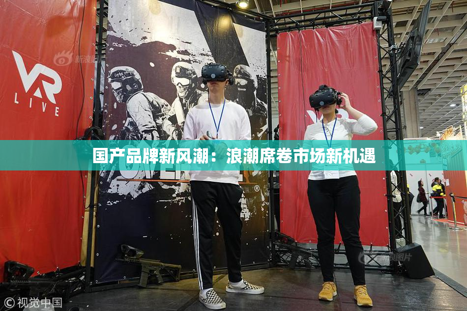 国产品牌新风潮：浪潮席卷市场新机遇