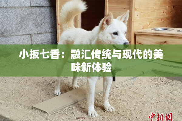 小扳七香：融汇传统与现代的美味新体验