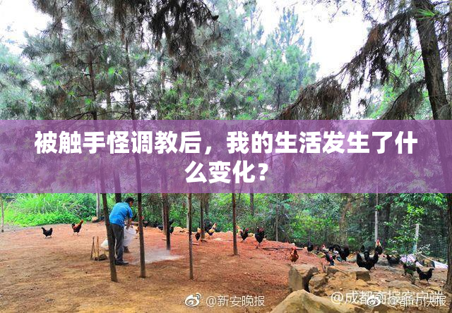 被触手怪调教后，我的生活发生了什么变化？