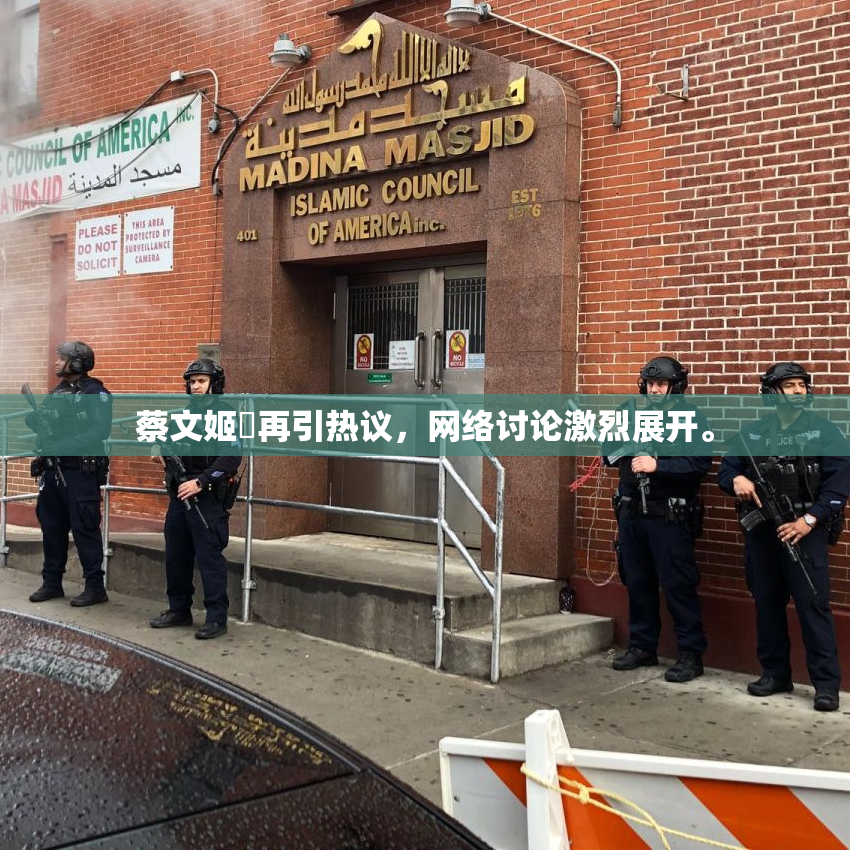 蔡文姬婬再引热议，网络讨论激烈展开。
