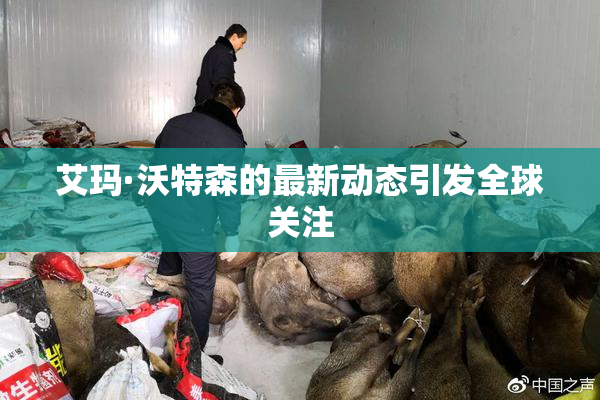 艾玛·沃特森的最新动态引发全球关注