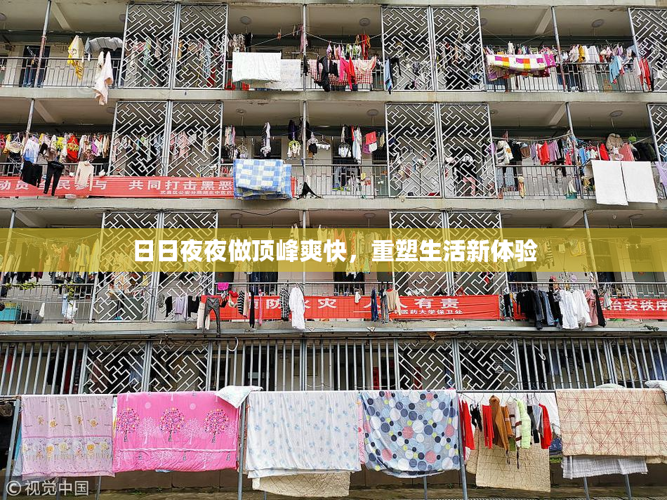 日日夜夜做顶峰爽快，重塑生活新体验