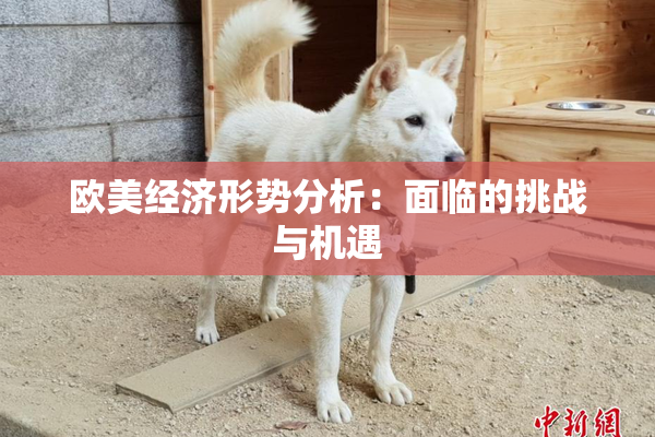 欧美经济形势分析：面临的挑战与机遇