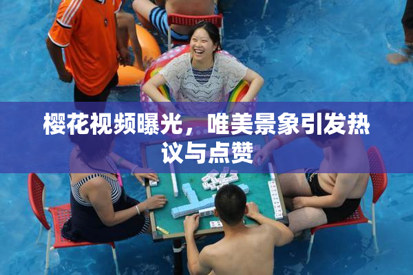 樱花视频曝光，唯美景象引发热议与点赞