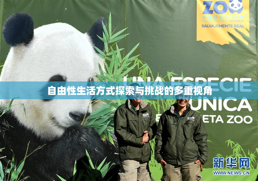 自由性生活方式探索与挑战的多重视角
