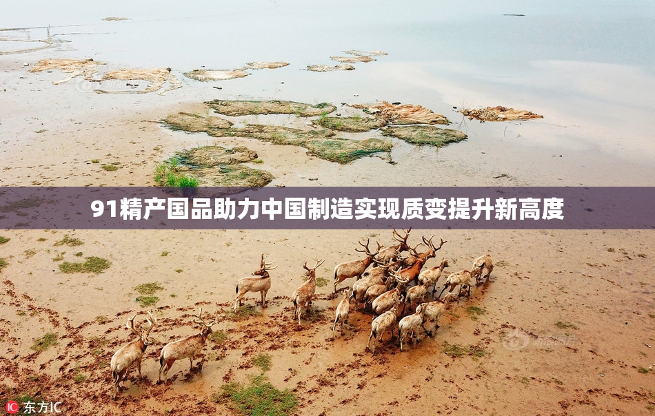 91精产国品助力中国制造实现质变提升新高度