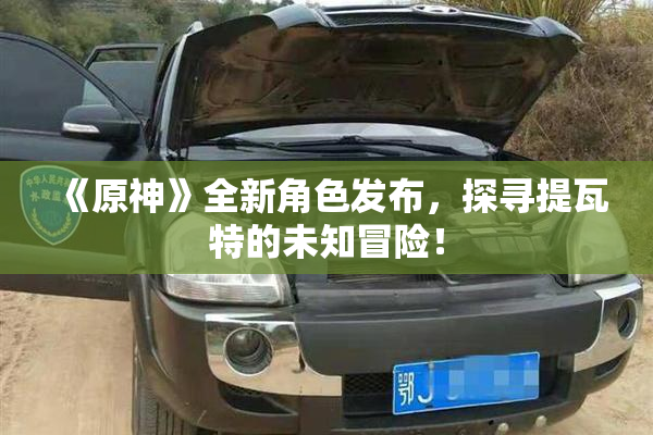 《原神》全新角色发布，探寻提瓦特的未知冒险！