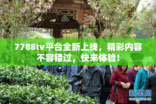 7788tv平台全新上线，精彩内容不容错过，快来体验！