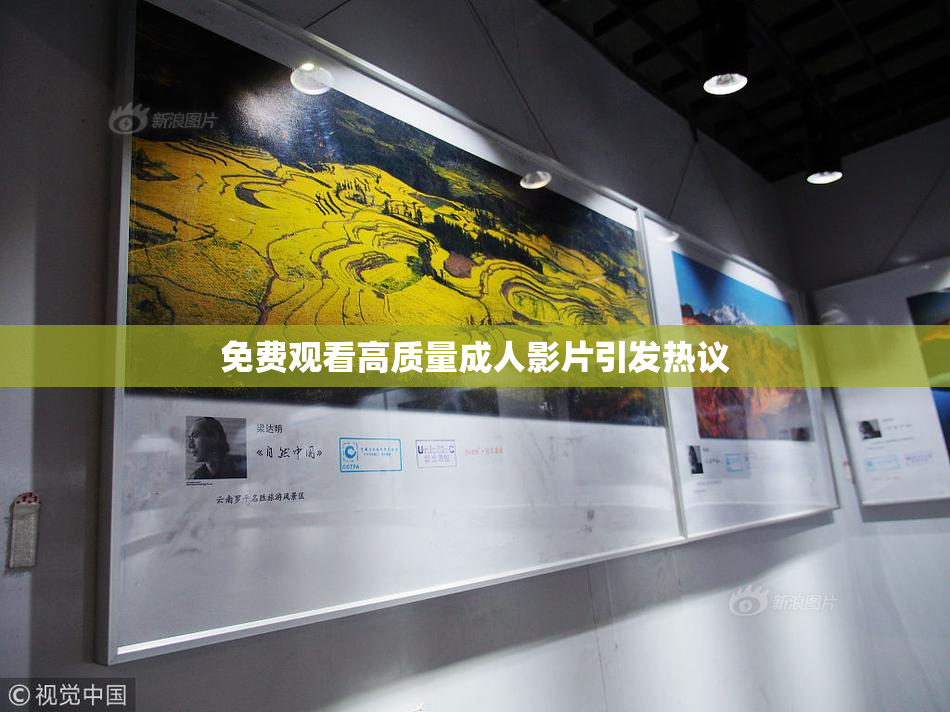 免费观看高质量成人影片引发热议