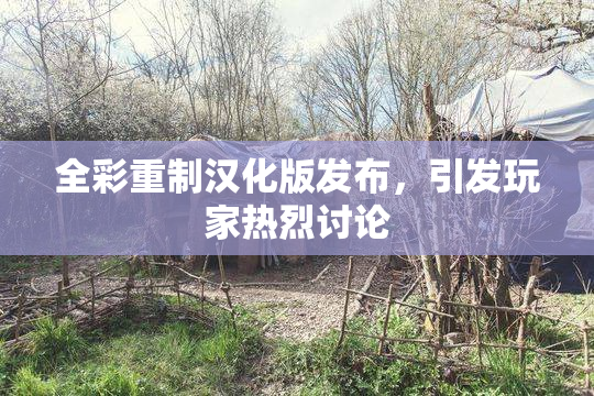 全彩重制汉化版发布，引发玩家热烈讨论